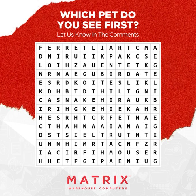 cazker1's tweet image. guinea pig and yes but I think my cats would love to eat it. 
#MatrixWarehouse #games #wordsearch #computers #technology
