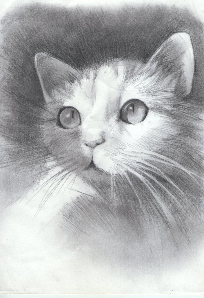 some practice portraits :)