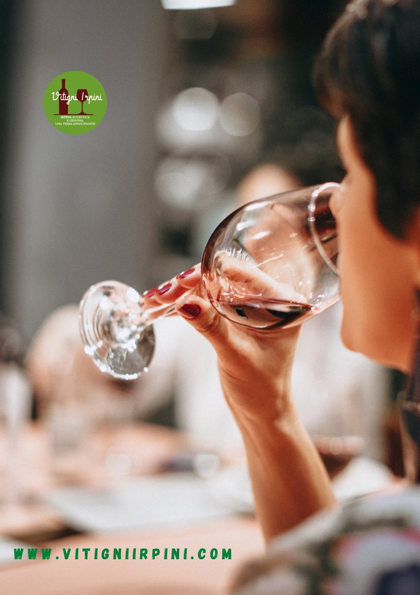 Dopo la passeggiata tra i vigneti e la visita della cantina i nostri turisti si rilassano con la degustazione di vini. Fai come loro scegli anche tu tra le nostre esperienze vitigniirpini.com

#vitigniirpini #enoturismo #winetour #turismo #viaggiare #viaggi #vino