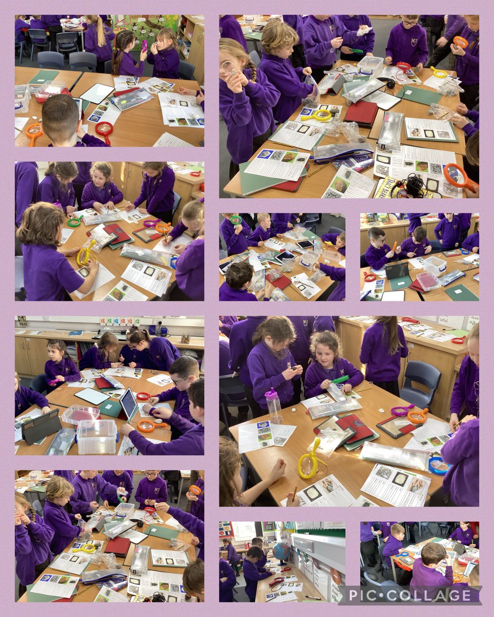 Miss Wren (@cwrswjs) on Twitter photo On Friday, year 3 became detectives!
They investigated the properties of a variety of rocks and had to work out which type of rock they were.
<a href="/mmcdatswjs/">Mrs Atkinson</a>
<a href="/swalneyj/">South Walney Juniors</a> On Friday, year 3 became detectives!
They investigated the properties of a variety of rocks and had to work out which type of rock they were.
<a href="/mmcdatswjs/">Mrs Atkinson</a>
<a href="/swalneyj/">South Walney Juniors</a>