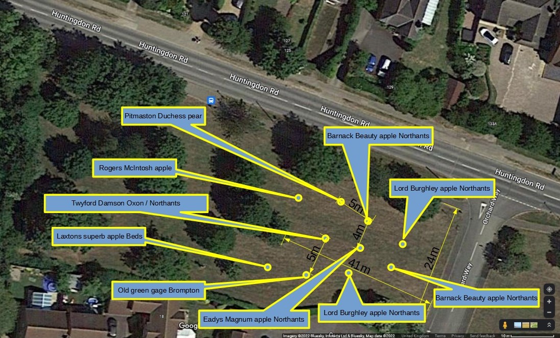 Thrapston Town Council tweet media