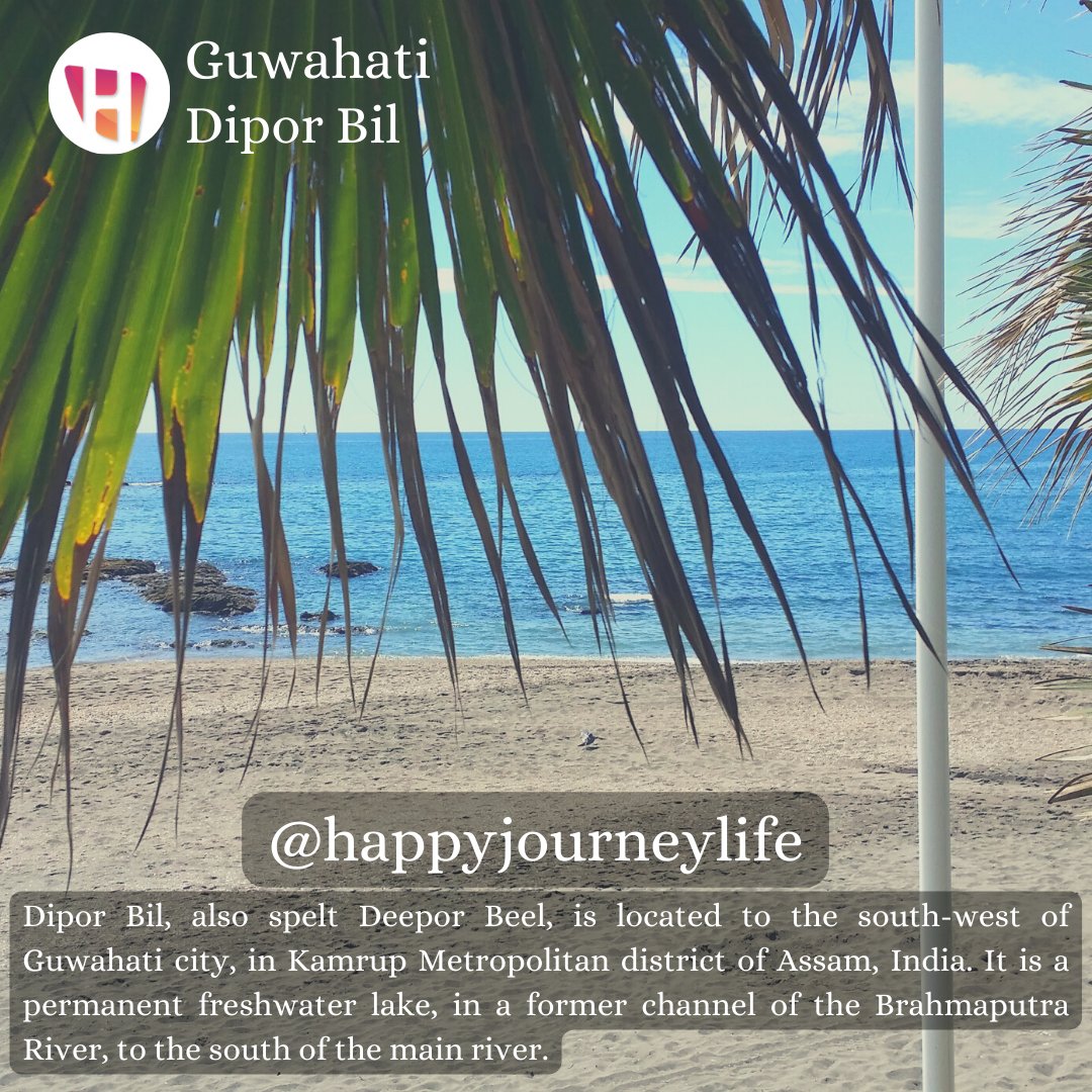 HappyjourneyL's tweet photo. Dipor Bil (also spelt Deepor Beel) is a freshwater #lake in the former channel of the #Brahmaputra river. #DiporBil #Guwahati #Assam #Travel #Tourism #Historic #Nature #Beauty #Explore #Wildlife #india #Experience #Culture #Heritage #Beautiful #Happyjoureylife #hjlifeservices https://t.co/nZAJ1vlBsr