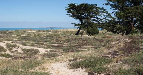 Une rencontre autour du livre « Îles. Regards croisés sur l’insularité » paru sous le patronage de la Fondation de France, de l’UBO, et de l’association ID-îles Asso s'est tenue le jeudi 26 janvier au siège de la Fondation à Paris 
bit.ly/3WMQhgX