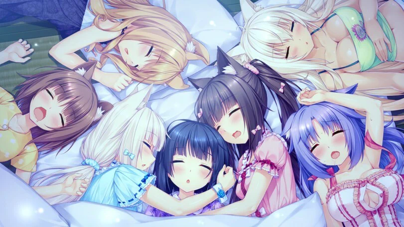 All cat girls of the visual novel Nekopara sleeping with the sister of the main character