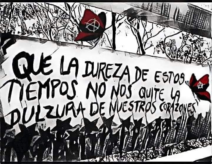 soyjulyo's tweet photo. Que empiecen la semana lo más lindo posible ☘️❤️ https://t.co/BKg3aHDBg8