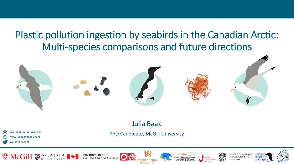 Hey <a href="/arcticfrontiers/">Arctic Frontiers</a> #MovingNorth #ASM2023, come check out my presentation today on #plasticpollution in #seabirds from #Arctic #Canada, I’ll be presenting some results from Canada’s long-term #monitoring program!

Details: ~11:30-11:40, Margarinfabrikken 2

#Sea you there! 🌊🦆