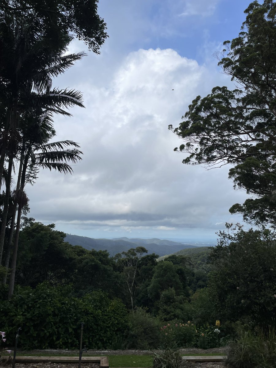 missbad28's tweet photo. Beautiful lunch at Mt Tambourine!! Lovely day for my bestieโs Birthday ๐ฅณ #parmy #stbernard #dayoff #friends #birthday โค๏ธ๐ชด๐โ๏ธ๐ https://t.co/QwUXEQNucG