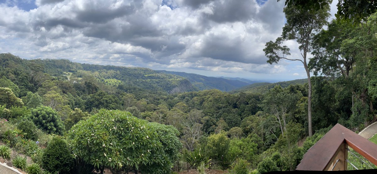 missbad28's tweet photo. Beautiful lunch at Mt Tambourine!! Lovely day for my bestieโs Birthday ๐ฅณ #parmy #stbernard #dayoff #friends #birthday โค๏ธ๐ชด๐โ๏ธ๐ https://t.co/QwUXEQNucG