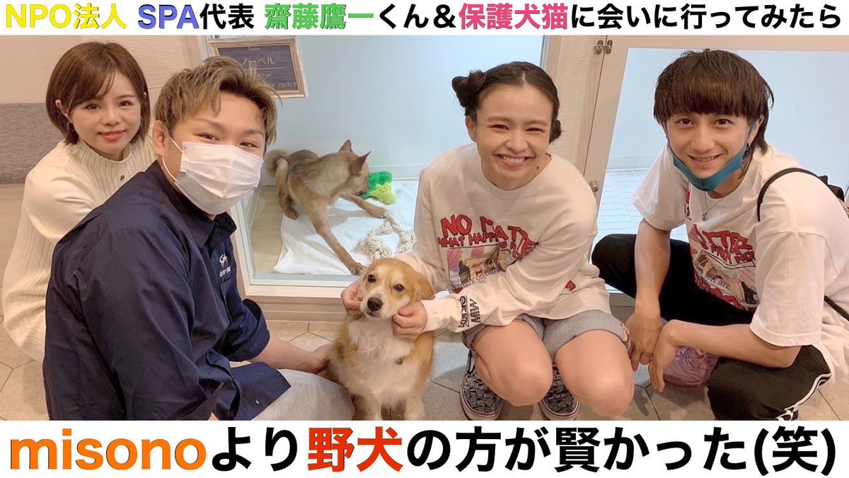 misono_channel's tweet photo. 2022年、コラボの撮影日が『初めまして』で

@yoichispa くんとは、そこから何回も食事をしている中で…保護犬猫の動画を公開する日が今になってしまい、申し訳なさすぎるのですが！

NPO法人SPAの方では齋藤鷹一くんと対談もしているので、もし良かったら是非ご覧ください♡

https://t.co/Cx6oRQLpyu https://t.co/p9ef59GuOo