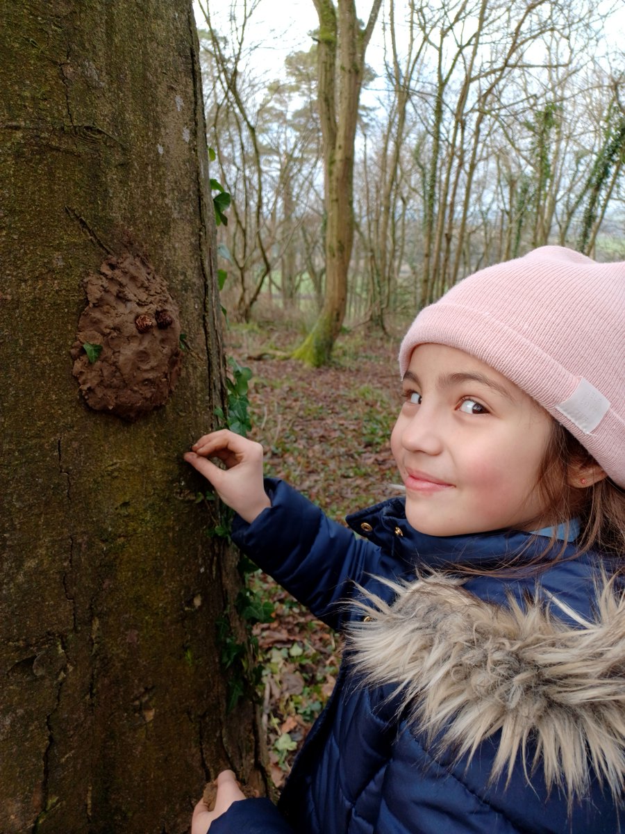 Sherborneprep's tweet photo. 5T were busy in Forest School on Thursday making Green Men to protect their trees!
#ForestSchool #outdoorlearning #countryprep #SPSYear5 https://t.co/TGxvNNPUHx