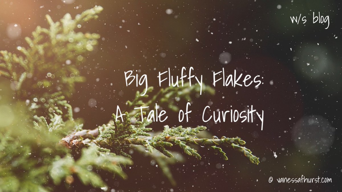 Big Fluffy Flakes: A Tale of Curiosity Where is the magic in your life?  - mailchi.mp/2917a18672d1/y…