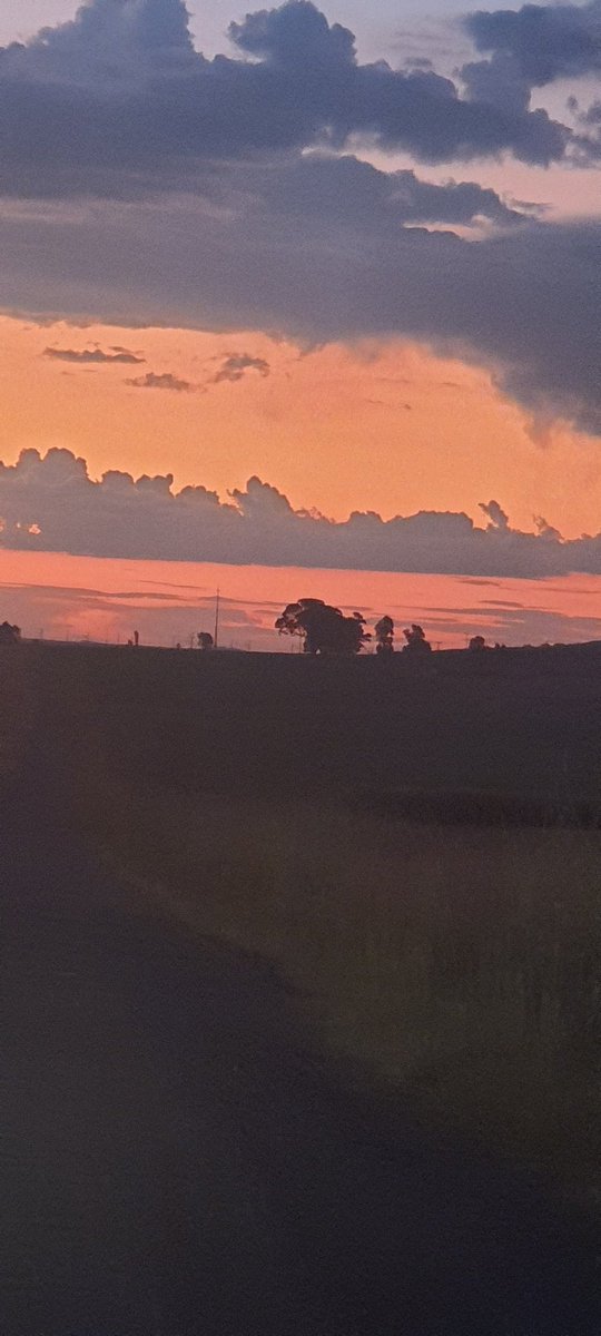 Sybrand Greyling (@sybrandgreyling) on Twitter photo 