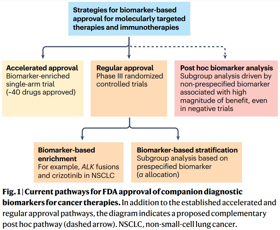 NatRevClinOncol's tweet image. In a new Comment article, Josep Llovet uses hepatocellular carcinoma as an example to explore a new pathway for biomarker-based approval of immunotherapies: nature.com/articles/s4157…. Also see: nature.com/articles/s4157…
#hpbcsm #livercancer #Immunotherapy #ImmunoOnc #hpeonc
