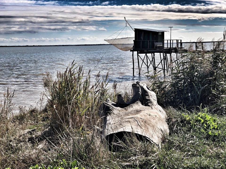 NicolasGratiot's tweet photo. For the first time, measurements with the SCAF instrument provide a dynamic view of the sediment fall rate in the Garonne estuary. Proud to have contributed to  this study. Many thanks to Sophie Defontaine and the Bordeaux team.
https://t.co/kVfZVHMmwo https://t.co/xx6aUXPuQ7