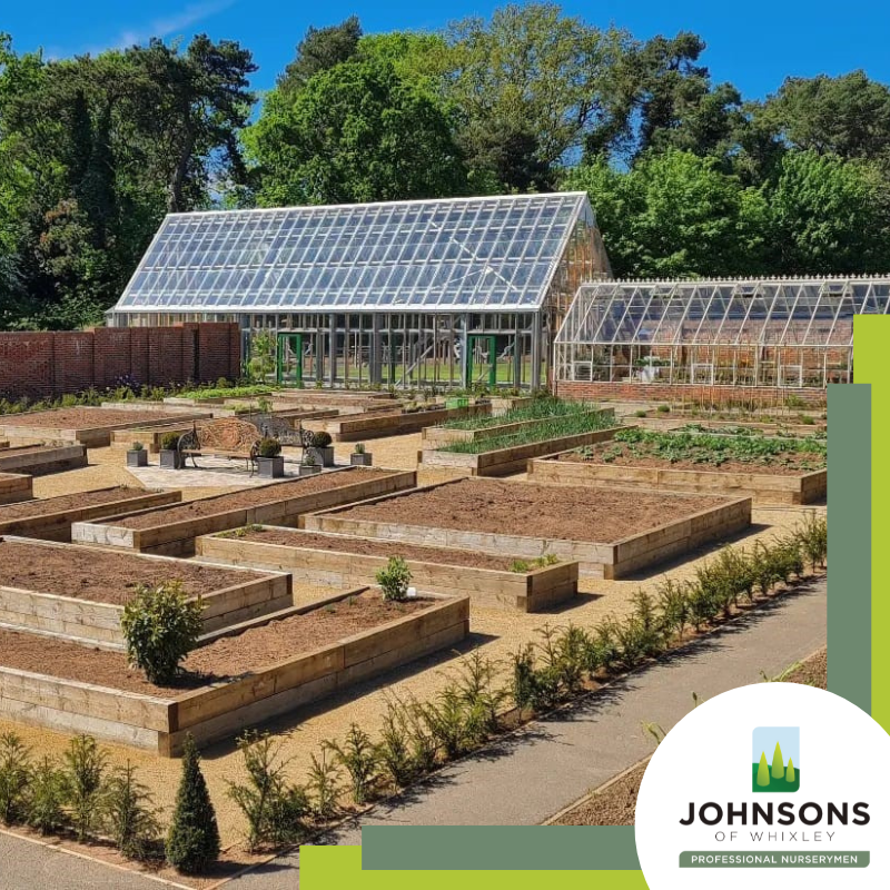 JohnsonsPlants's tweet photo. Starting the week with a project focus: Rockliffe Hall, Walled Garden

In the summer of 2022, we secured a contract to supply the new walled garden at Rockliffe Hall, a five-star AA hotel, golf and spa resort in Darlington.

Full case study details below⬇️
https://t.co/hMPpxViOwz https://t.co/45JUICNsam