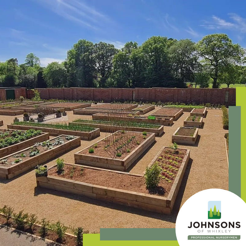 JohnsonsPlants's tweet photo. Starting the week with a project focus: Rockliffe Hall, Walled Garden

In the summer of 2022, we secured a contract to supply the new walled garden at Rockliffe Hall, a five-star AA hotel, golf and spa resort in Darlington.

Full case study details below⬇️
https://t.co/hMPpxViOwz https://t.co/45JUICNsam