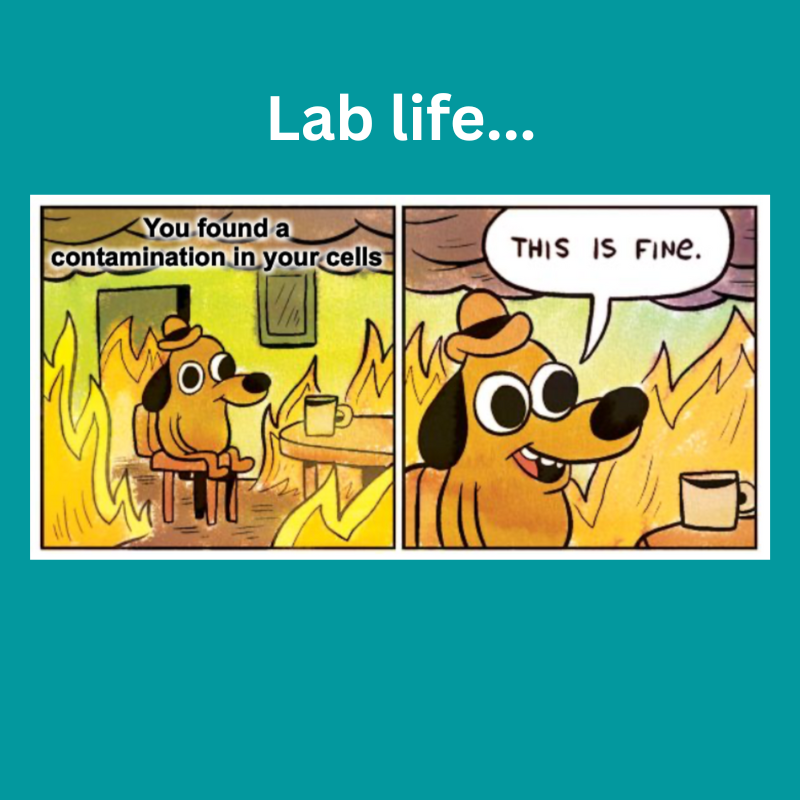 HenriksLab tweet picture