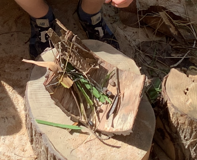 mcleodjo's tweet photo. This week's challenge for #RahaEY2 was to build a nest that would be strong enough to withstand the wind and rain and be soft inside to protect the eggs and chicks. I'm so impressed with their efforts! #desertschool @RIS_earlyyears https://t.co/W0Pip7IxxV