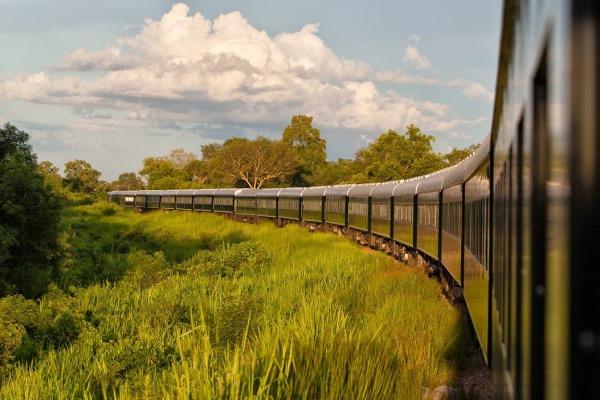 aardvarksafaris's tweet photo. There are so many amazing ways you can experience Africa, it’s easy to forget the pleasure that can be taken when we make the journey an integral part of the trip. Our next blog features our top suggestions on how best to do this. 
https://t.co/KcxHWjpaej https://t.co/T8VpaduUgj