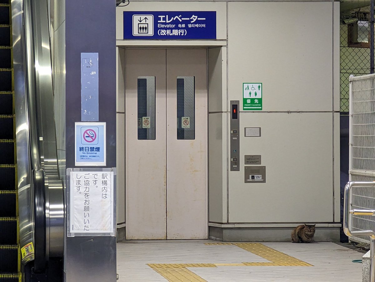 Rail_Channel's tweet photo. 2023.1.30の #春日部支所
#8570F が移動。8570Fの後ろに居た #105F も移動し検修庫へ。あとは #姫宮 にネコちゃんが居たぐらいかな？ 結構鳴いてた
#8000系 #8568F #8577F #100系 #スペーシア https://t.co/rrn08f0EDN
