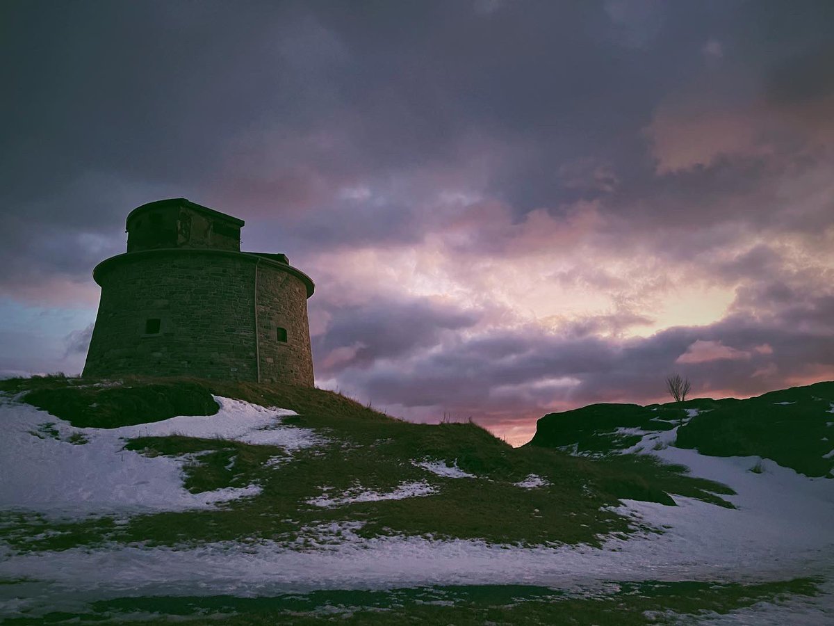 Julia Wright tweet media