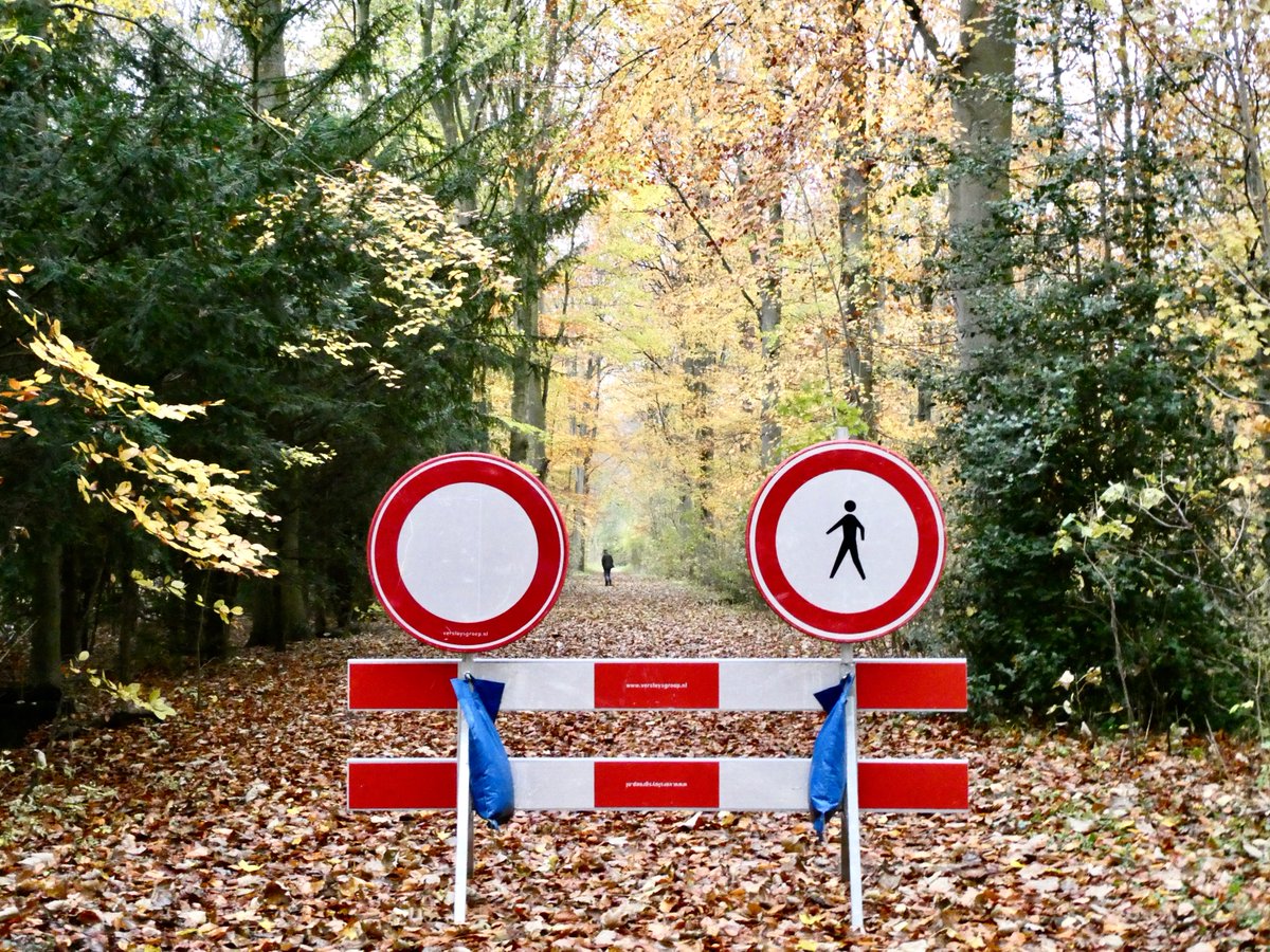 Aan de rechterkant mag je niet wandelen; aan de linkerkant wel?

#amsterdamsebos #amsterdam #amstelveen #oeps #vriendenamsterdamsebos #wordvriend