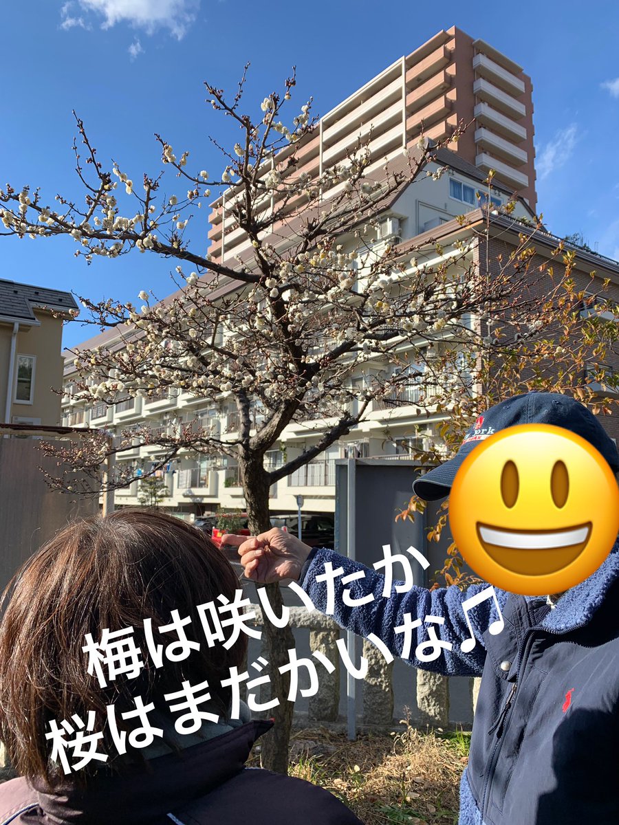 DaysBLG's tweet photo. ✨本日の活動ダイジェスト✨

午前:買い物、竹細工、ひだまりカフェのお手伝い
ランチ:外食（和食or豚カツ）、ひだまりカフェでお弁当
午後:#HONDA の洗車、神社参拝（2カ所）、こどもの国のベンチ清掃、竹細工

市内各所で梅の花が咲き始め、これから仕事の合間のお花見が楽しくなりそうですね☺️ https://t.co/zaAbH3aGxq