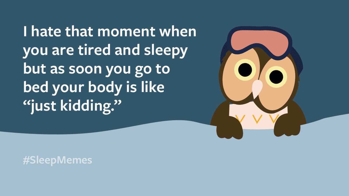 _sleepstation's tweet photo. 🦉💤 Make this the year you get great sleep. You've got until midnight on 31st January to get 20% off your sleep plan in January with the code 'NEWYEAR'. ⬇️
https://t.co/MQBdAwzglU
#Sleep #SleepMemes https://t.co/0w0BoLMLlp