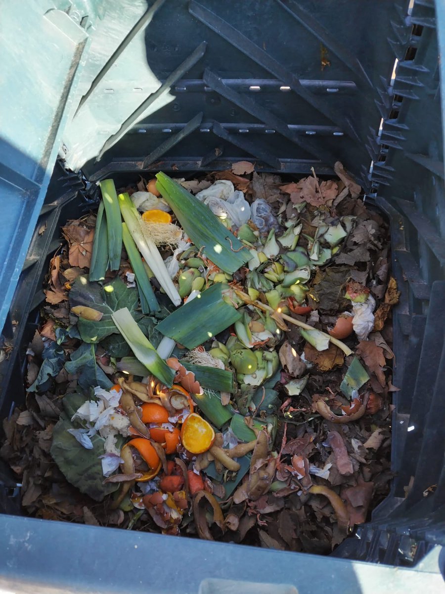 consorcio_crea's tweet photo. 🍂Las visitas a las composteras domésticas nos permiten llevar un seguimiento y asesorar a la ciudadanía para que puedan elaborar el mejor compost.
@AytoCastalla
#compost
#CREAmosCompost
#compostaje
#CREAmosFuturo https://t.co/5k0PCjYe7j