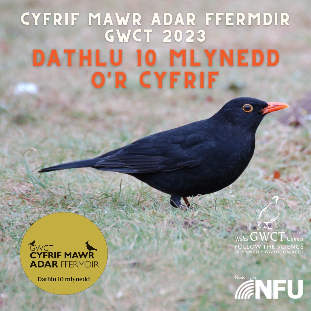 GWCT Cymru | Wales tweet media