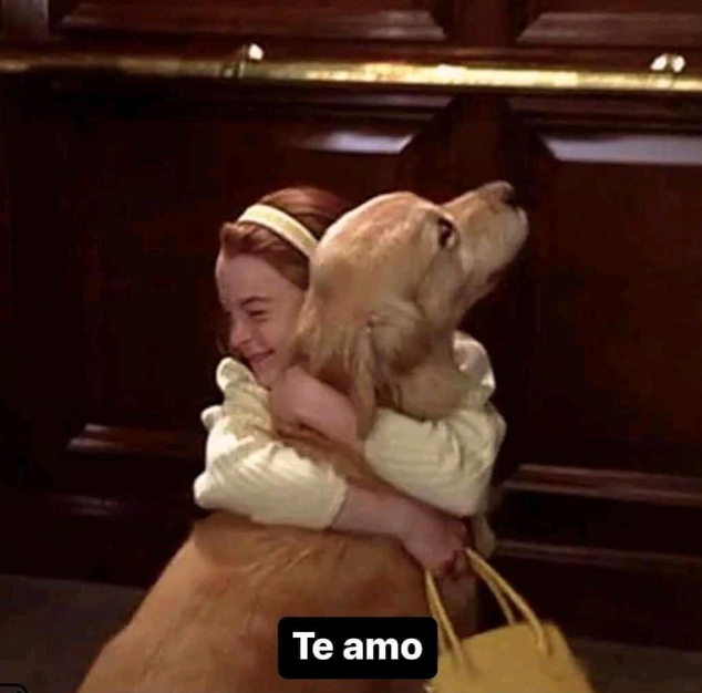 Yo cada 5 min con mi perrito: