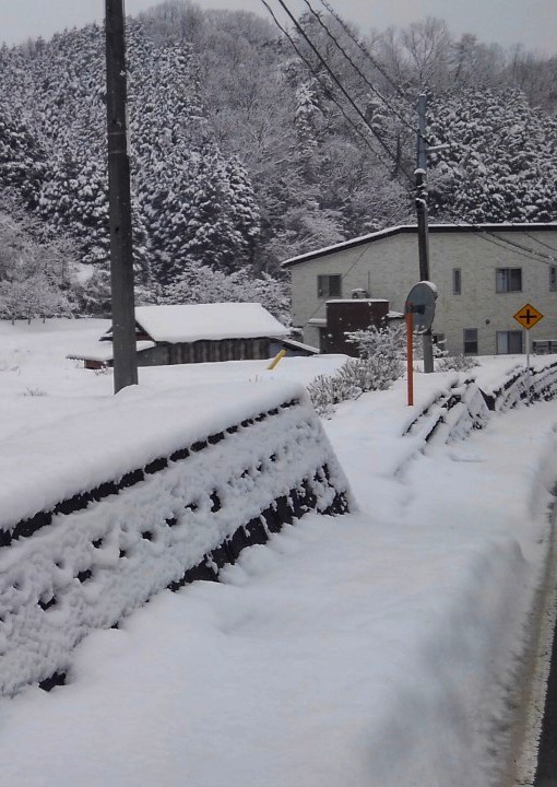 adachi_tetsuo's tweet photo. 公務員時代に少し戻った位、歩いた日曜日。
カショーさんのあのぐる×②程じゃないけど…それなりの荷物を担がざるを得なかった。
ただこの積雪量でこの距離を歩いたのは初めてかな?
ただそも×②調子にのらなきゃ、この様な状況下にはなってないから猛省せんといけん。
シュッ〆
#BONEAGAIN #蛇骨大佐 https://t.co/1xzxcdlJ8w