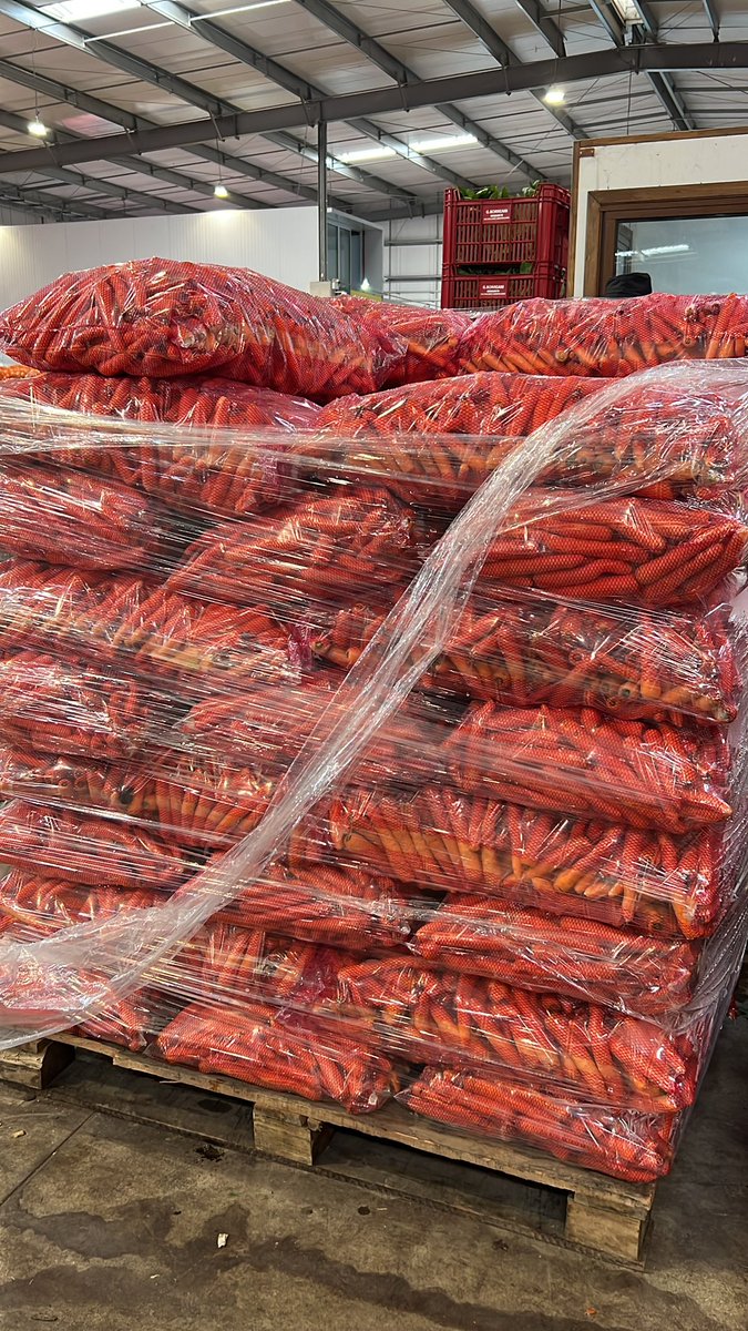 La zanahoria 🥕 por sequía está con tamaños más chicos, no se asusten, lleven menor tamaño las pueden cocinar enteras incluso las más pequeñas como baby Carrot. Recuerden que atrás de cada emprendimiento hay muchas familias, trabajo, proveedores.
No es momento de comer con los 👁