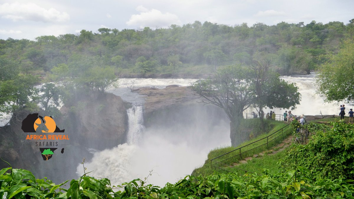 Book a tour with Africa Reveal Safaris today and experience the luxury and wonder of Uganda like never before.

#travel #travelblogger #traveling #traveler #visit #visituganda🇺🇬 #africa #couplegoals #traveltogether #familytime #honeymoonsafari #afrika #vacation #vacationmode