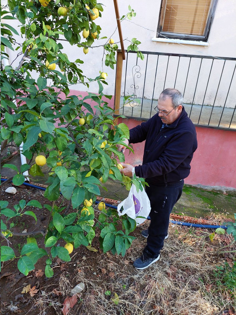 Şenol Yeşilöz (@enolyeilz1) on Twitter photo 