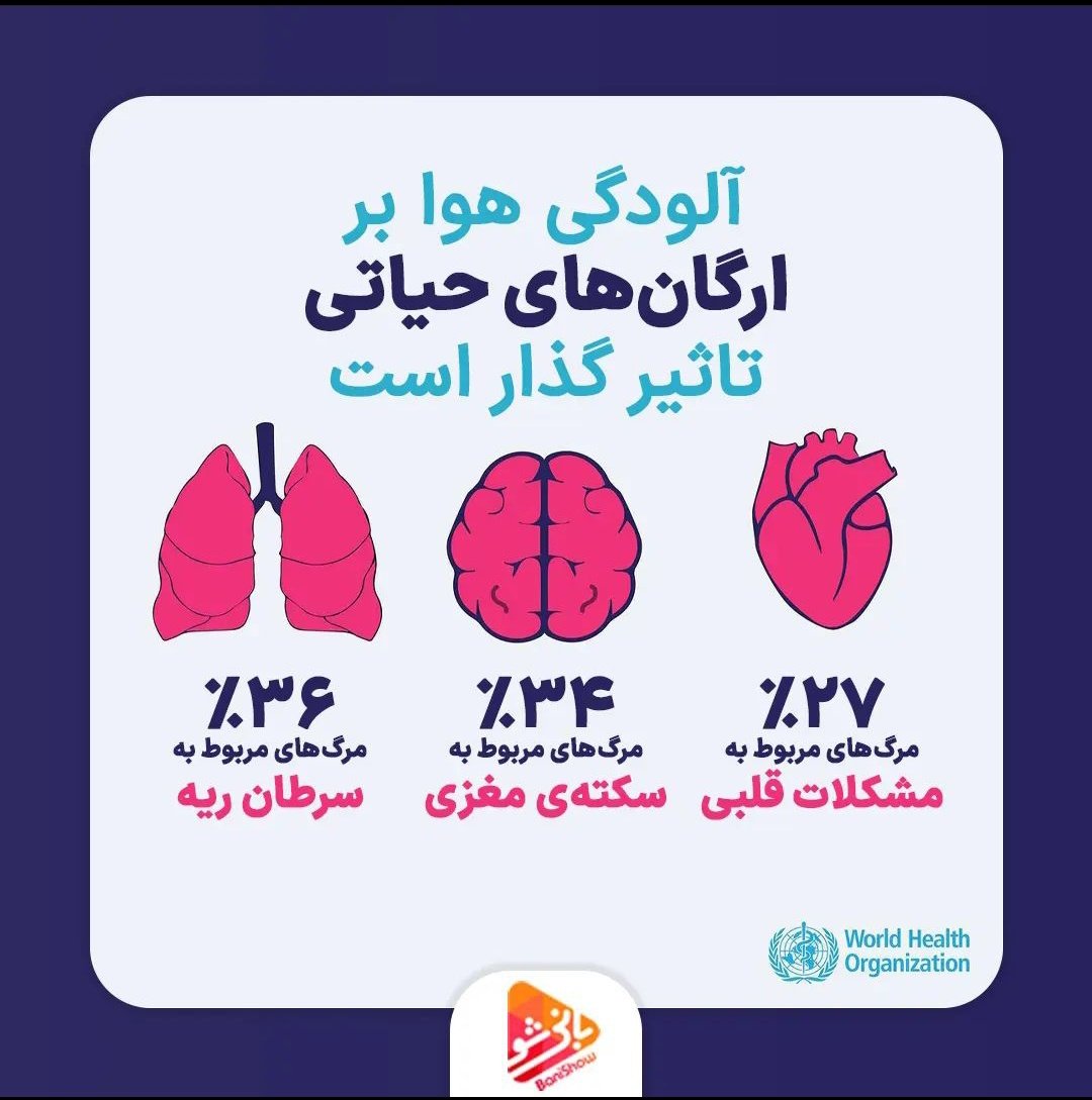 BaniShow's tweet photo. می‌دونستید مازوت می‌تونه باعث
سرطان، سکته قلبی و مغزی،آسم، برونشیت، تنگی نفس، اختلال کلیه، افسردگی و اسکیزوفرنی بشه؟
حالا هی آلودگی هوا رو جدی نگیرید:") https://t.co/7DeZr8j4Q0