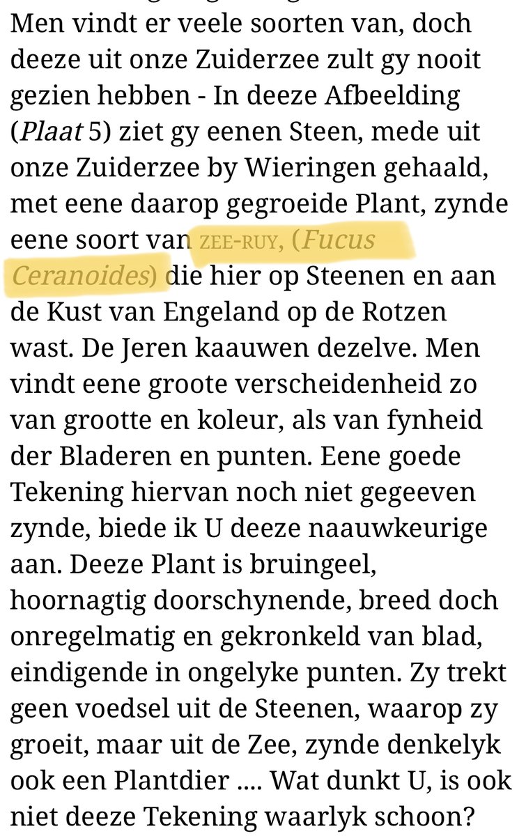 webmeester's tweet photo. @JandeLaat4 Zee-Ruy het streepje helpt https://t.co/erbu9UmTPq