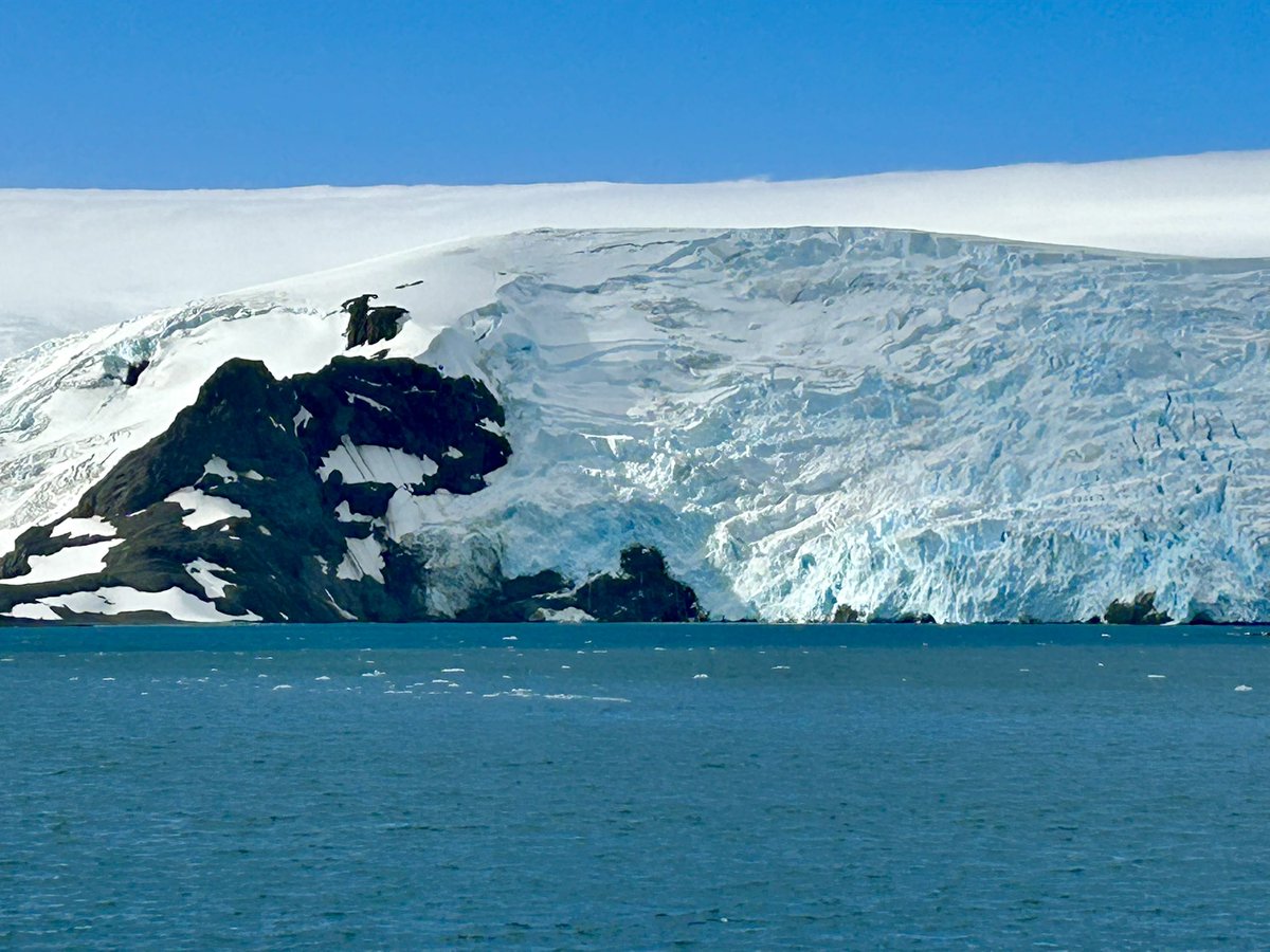 remy mohamed tweet media