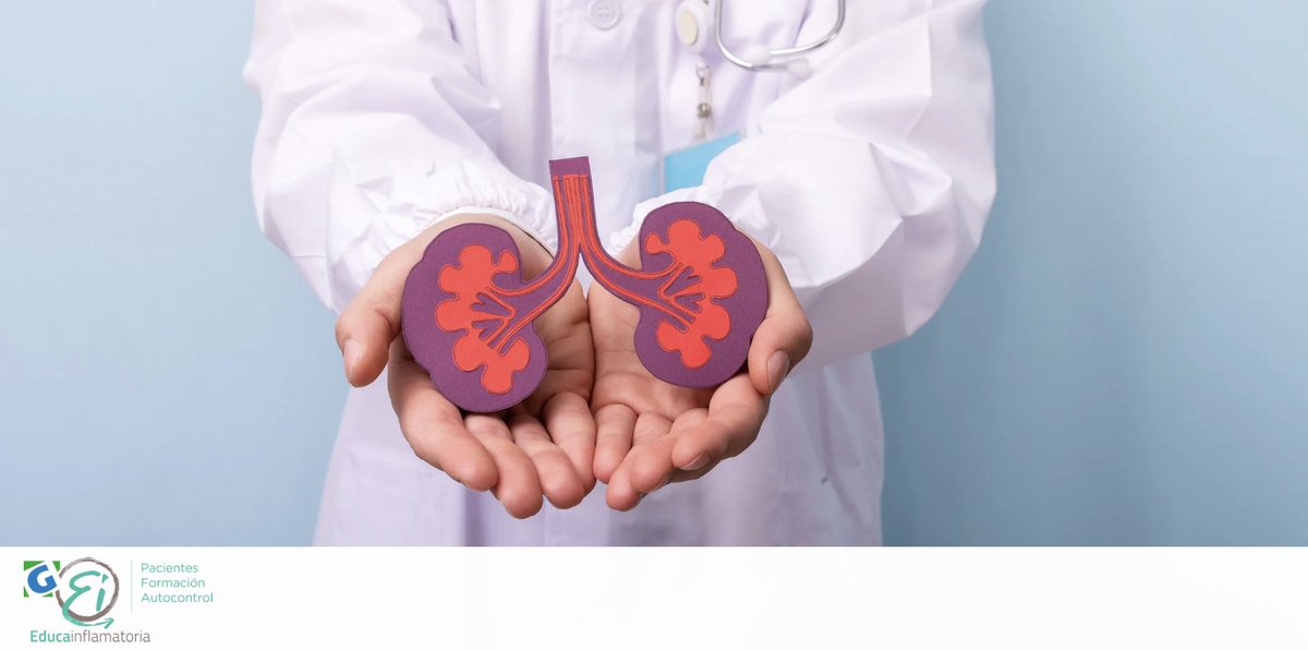 EntrenaEII's tweet photo. 🫘 En la #EII es frecuente la presencia de manifestaciones extraintestinales a nivel del riñón llegando a ocurrir hasta en un 25% de los pacientes. 

Es más frecuente la afectación de la vía urinaria. https://t.co/WbbeMFBKAz