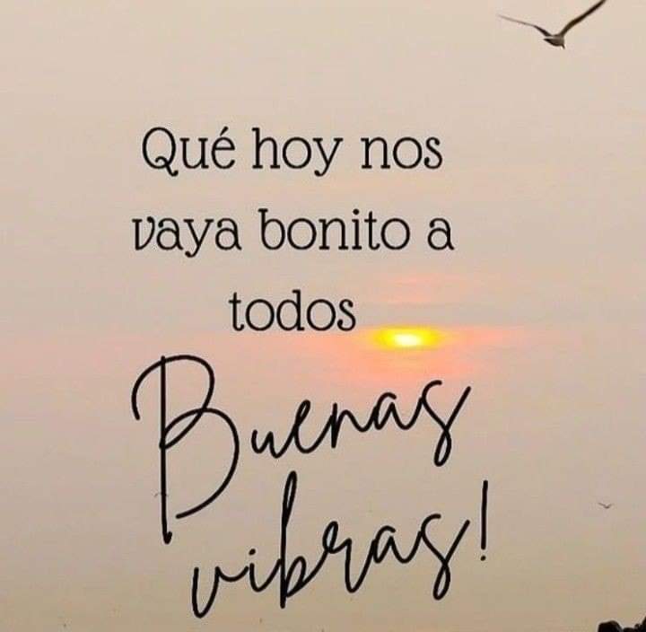 @UnAgroUrbano Querido Raúl buen dia 🙋🏻‍♀️🌅. Te deseo un gran comienzo de lunes y siempre #DeMenteEnPositivo  ⚘️✨️🎶🎵. Por ahora un poquito mejor. Gracias