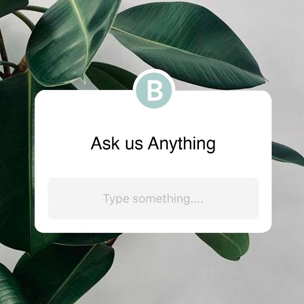 We're answering YOUR questions 🍃♻️💚

Got something to ask about our new masks? Post it below and we'll be in touch!

#BiodegradableBeauty #PlanetPositivePackaging