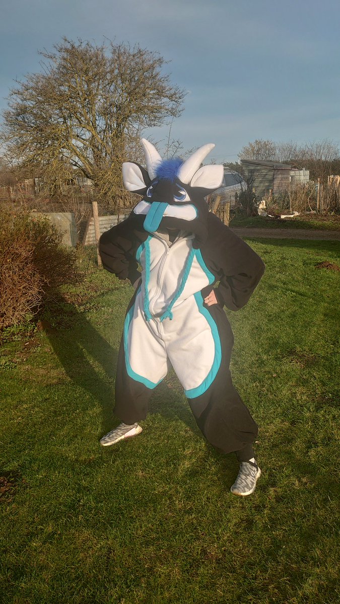 57Manex's tweet photo. Less than a week till @Scotiacon_Info where we will have 15 slots available for custom kigus! These are first come first served so if you're after a kigu then make sure to come see us in the dealers den! We will also have a selection of adoptable kigus and some fursuit parts! https://t.co/C7WrAYLjRA