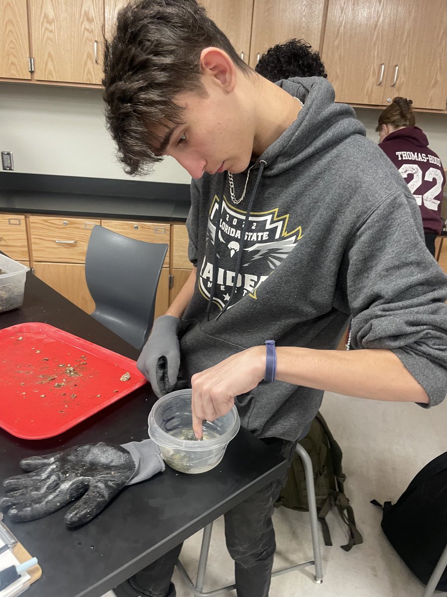 HHS_Beatty-Woodall tweet media