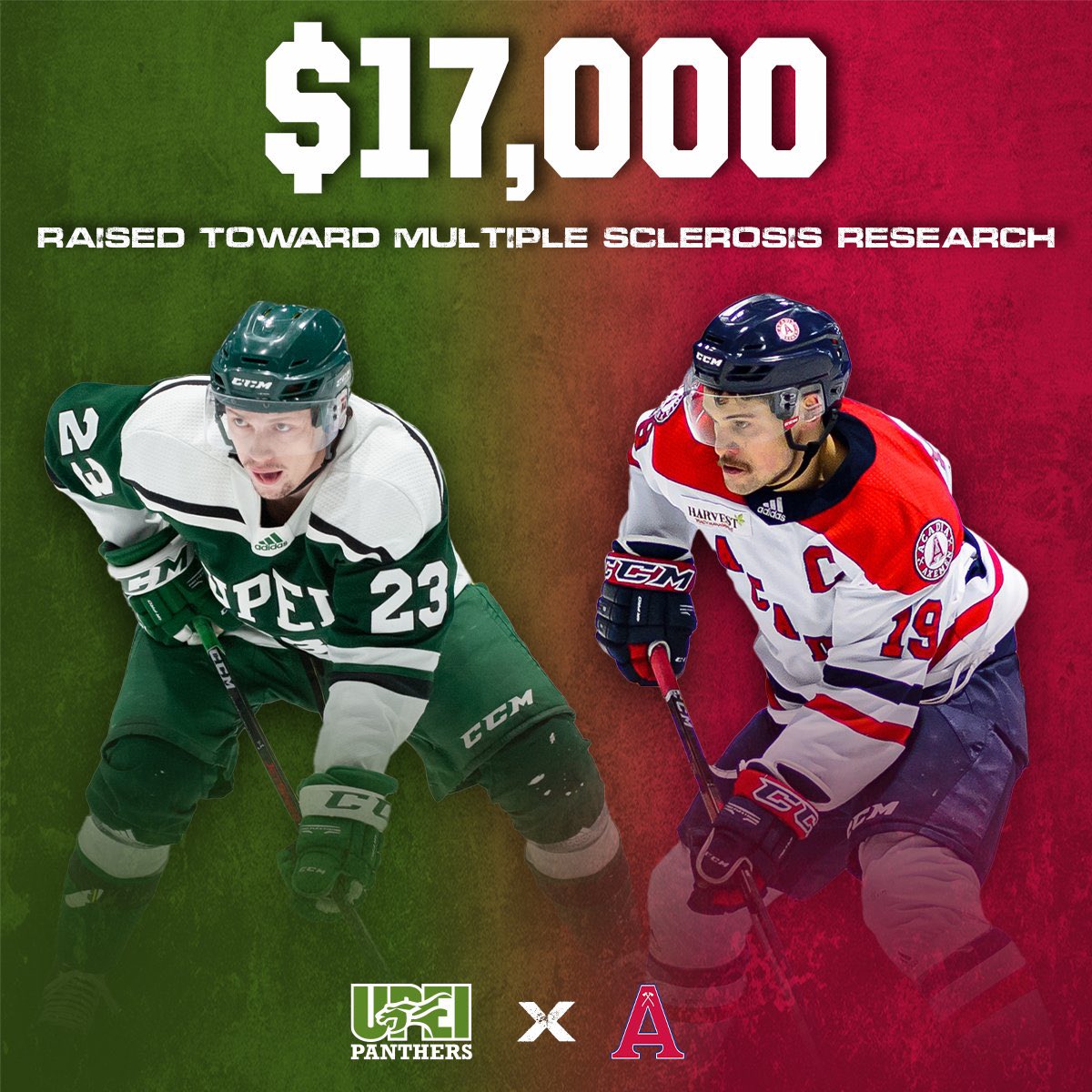 Carson MacKinnon tweet media