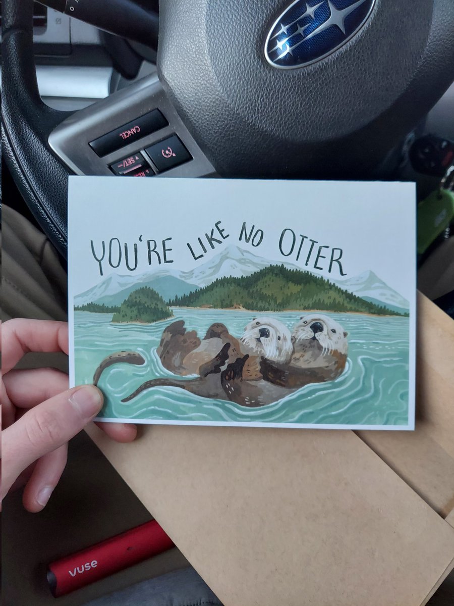 SpeedRacinJason's tweet photo. My fiance knows that I am a big fan of otters &amp; puns, so she got me this card and filled it with otter puns. Admittedly she did use Google for some, but this is still amazing 😂♥️ https://t.co/BrQ1rLVplD