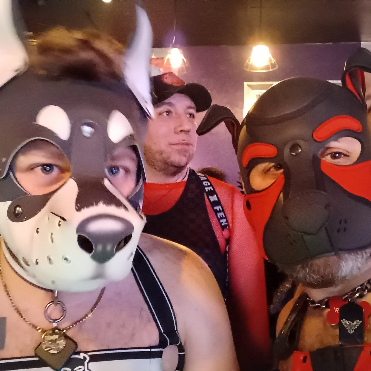 Pup Rysei tweet media