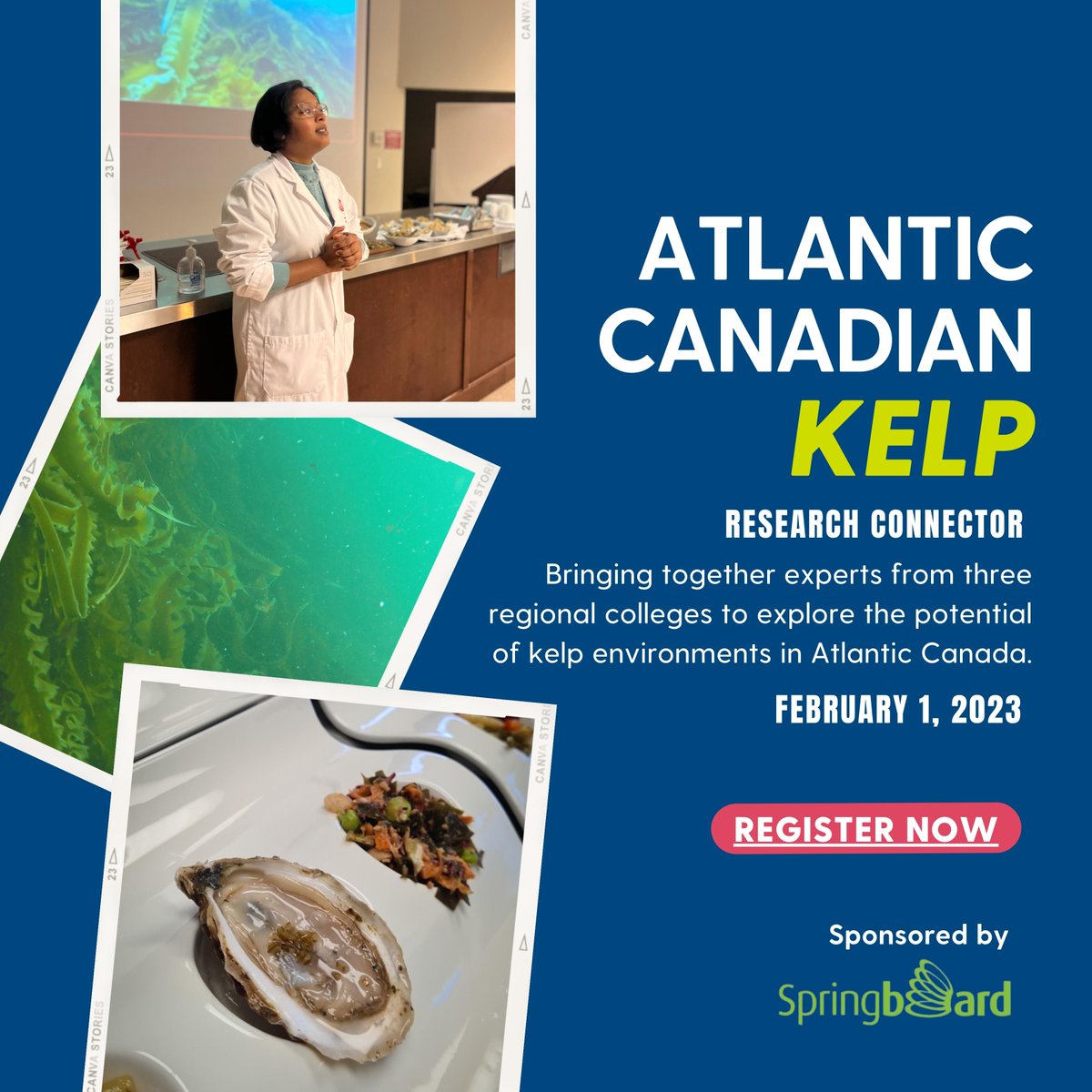 NSCCNews: RT <a href="/NSCCResearch/">NSCC Research</a>: Last chance to reserve your seat at the Atlantic Canadian Kelp Connector on Feb 1, option to attend in person or online. Register here: bit.ly/3wGXip2

Shout out to our sponsor <a href="/SBAtlantic/">Springboard Atlantic</a> for helping us connect with…