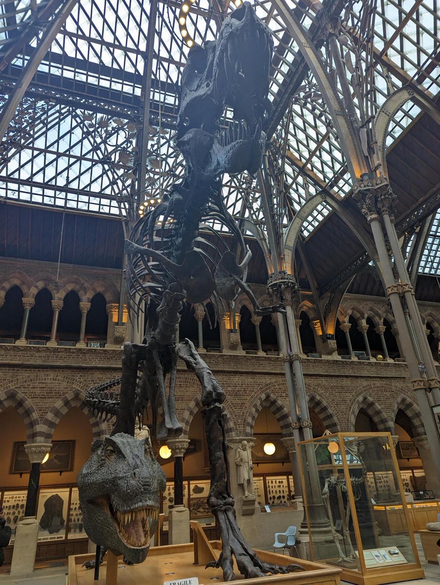 Last week @CockshutHillSch 2 of our year 9 classes visited Gloucester and Oxford universities. Learning all about uni life. Students got to experience a major incident stimulation and the natural history museum #aiminghigh #raisingaspirations #futurepathways #gbm7