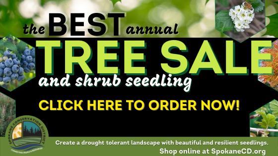 Tree Sale is Open! - mailchi.mp/5d6624202469/c…