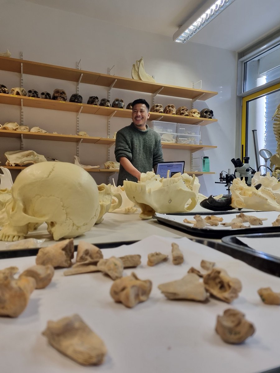PalaeoJenn's tweet photo. A great hands-on workshop about faunal analysis, led by Noel Amano at @MPI_GEA 
🐏🐑🐐🫏 https://t.co/xsspEcABSj